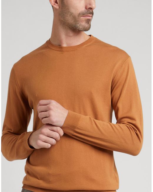 Pullover Daniele Fiesoli de hombre de color Brown
