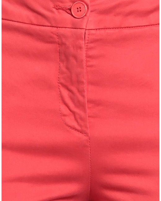 White Wise Red Pants