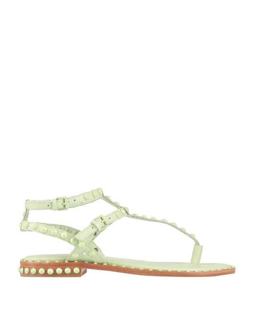 Ash White Thong Sandal