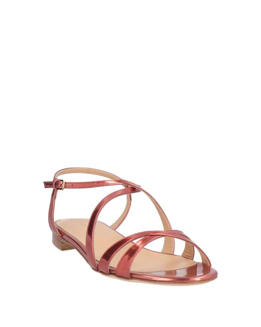 Sergio Rossi Pink Sandals