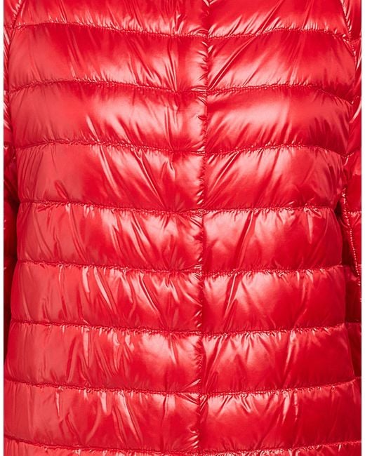 Herno Red Puffer