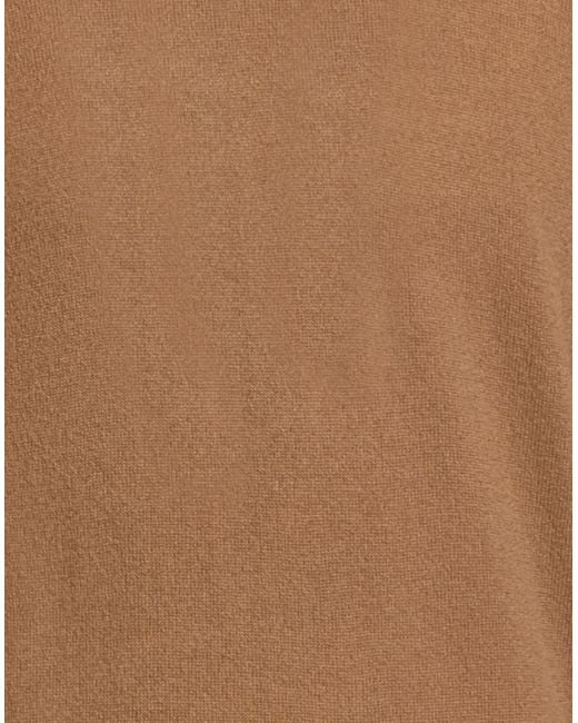 Alpha Studio Brown Sweaters for men