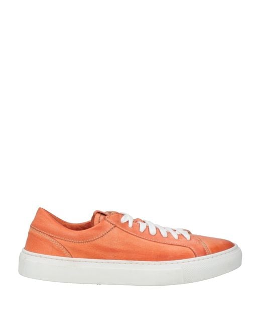 Preventi Orange Trainers