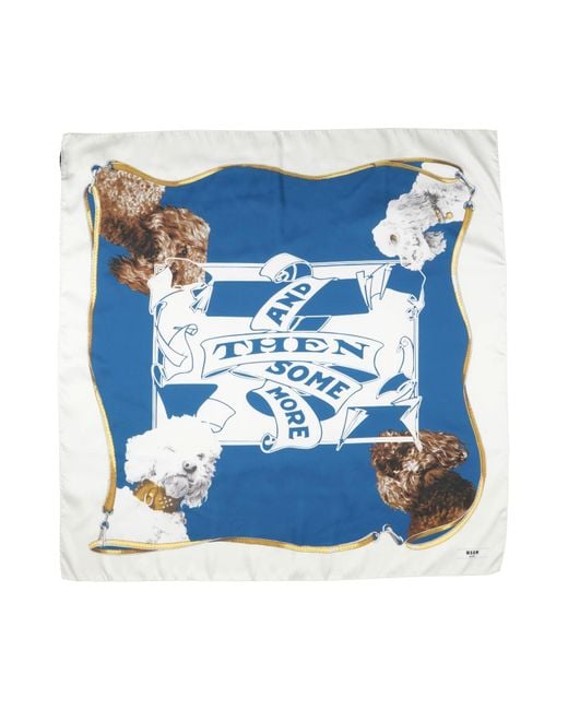 Écharpe MSGM en coloris Blue