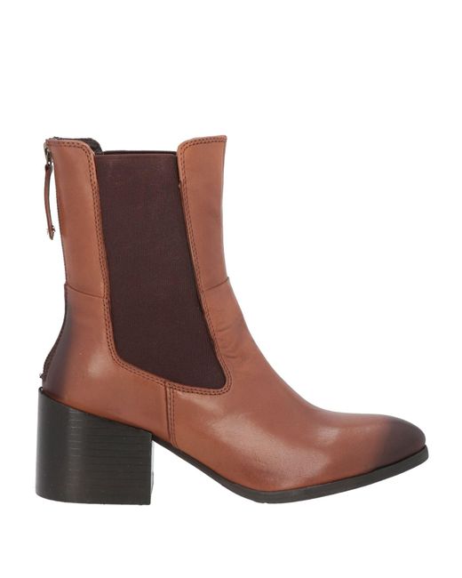 CafeNoir Brown Ankle Boots