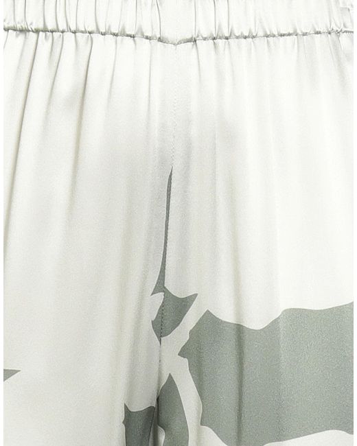 Antonelli Gray Pants Silk