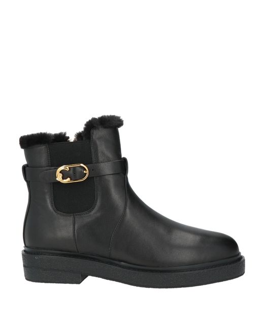 Coccinelle Black Ankle Boots