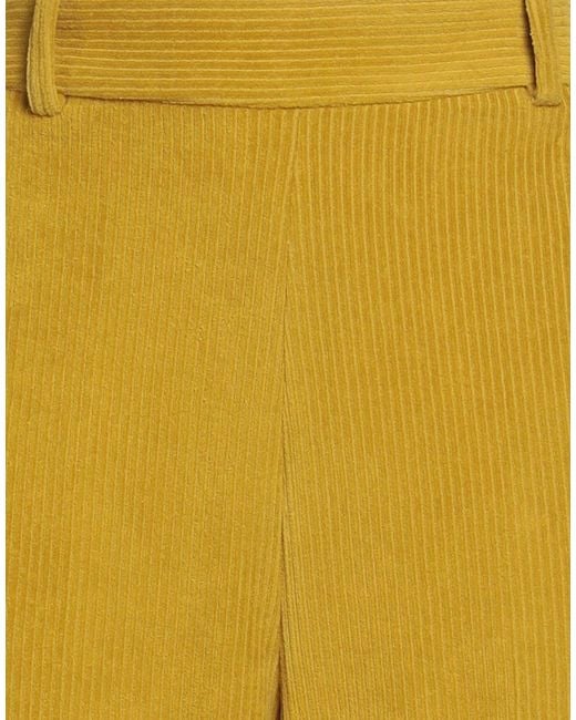 Circolo 1901 Yellow Trouser