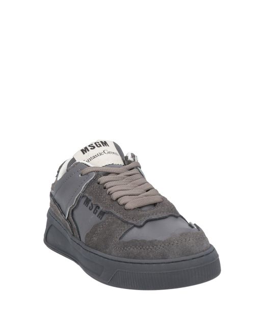 MSGM Gray Trainers