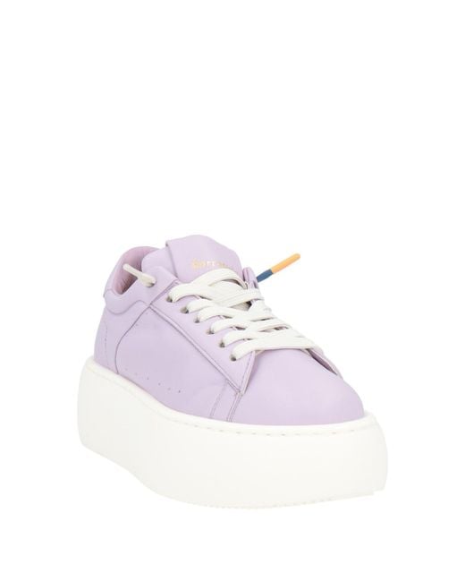 Barracuda Purple Trainers