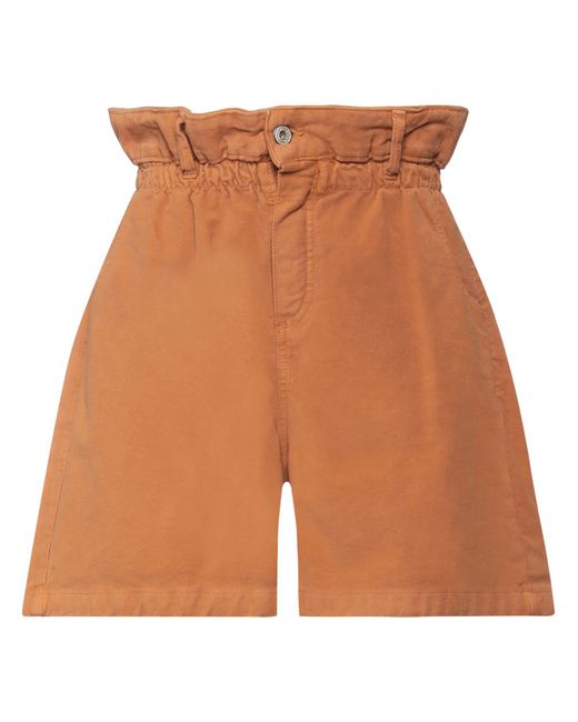Dixie Brown Shorts & Bermuda Shorts