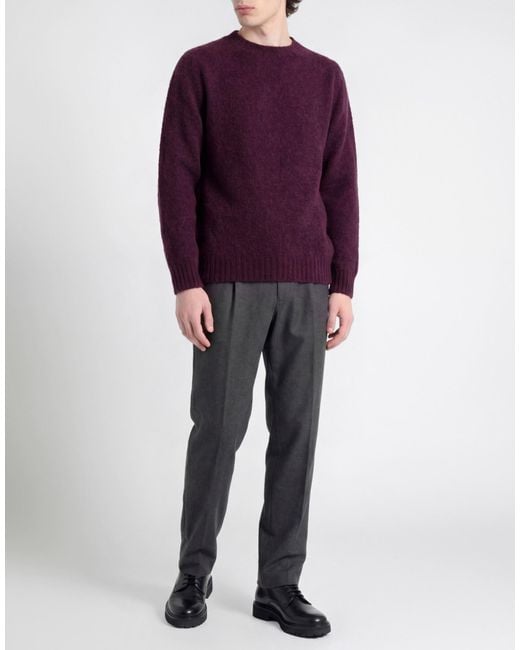 BARTO Purple Plum Sweater Wool for men