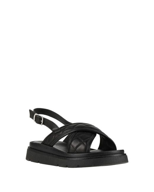Baldinini Black Sandals Leather
