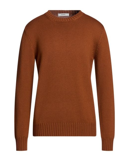 Alpha Studio Pullover in Brown für Herren