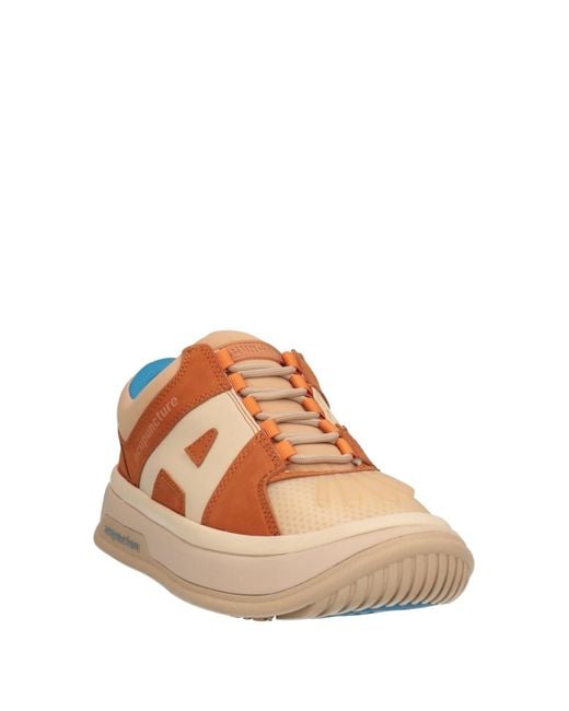 Acupuncture Brown Sneakers for men