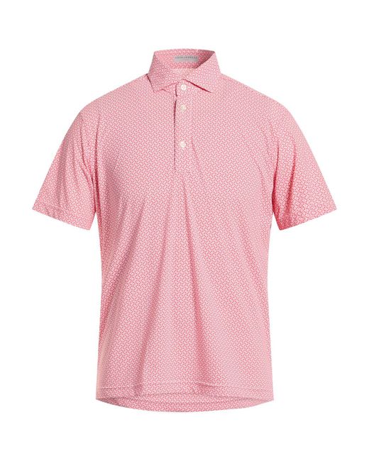Ghirardelli Pink Polo Shirt Nylon, Elastane for men
