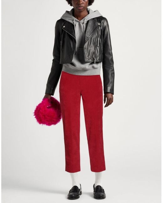 Circolo 1901 Red Pants Cotton, Polyester