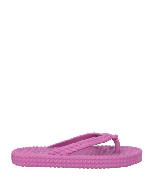 Isabel Marant Purple Thong Sandal