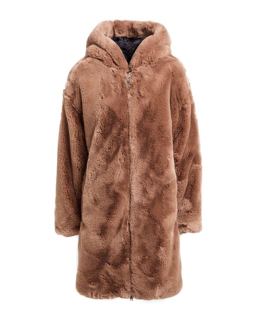 Moose Knuckles Brown Shearling & Teddy