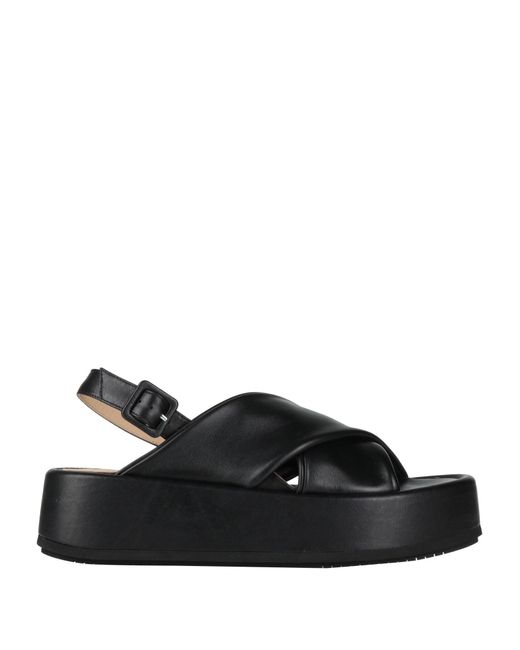 Paloma Barceló Black Sandals
