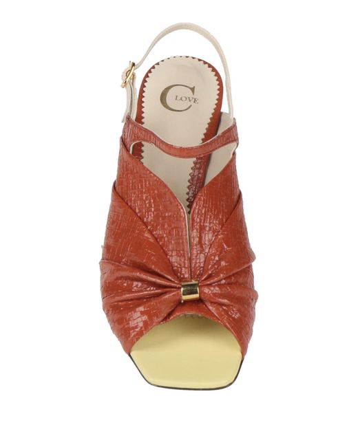 C LOVE Brown Sandals