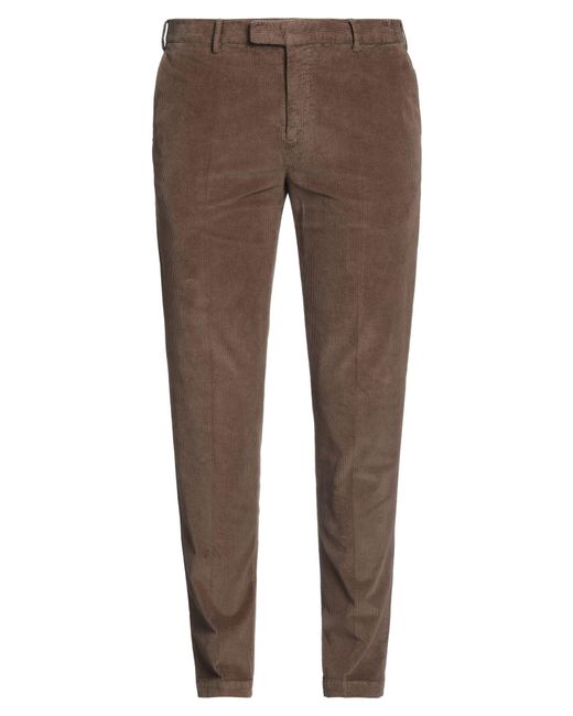 PT Torino Brown Trouser for men