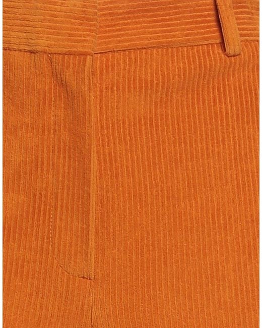 Circolo 1901 Orange Pants Cotton, Polyester