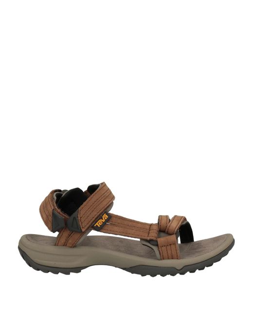 Teva Sandals in Brown Lyst