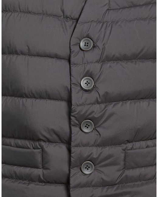 Herno Gray Gilet for men