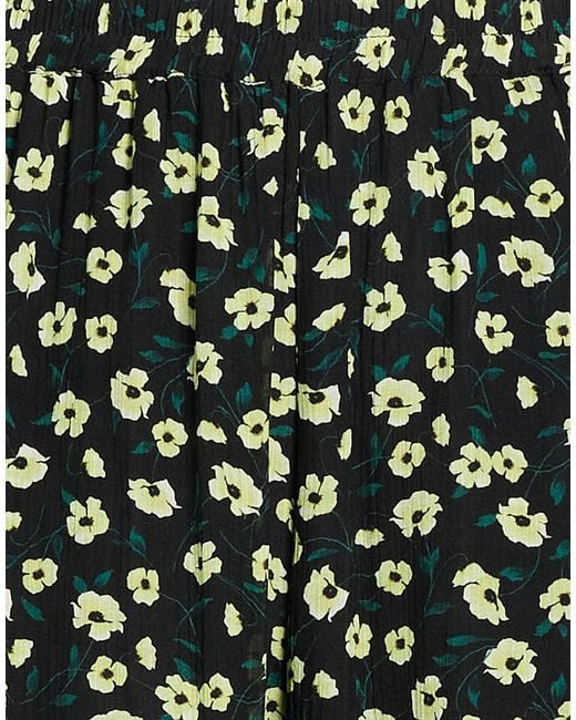 Fisico Green Pants