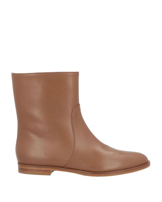 Sergio Rossi Brown Ankle Boots Leather