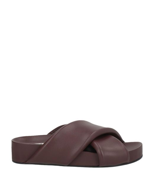 Jil Sander Brown Nappa Leather Flat Sandals
