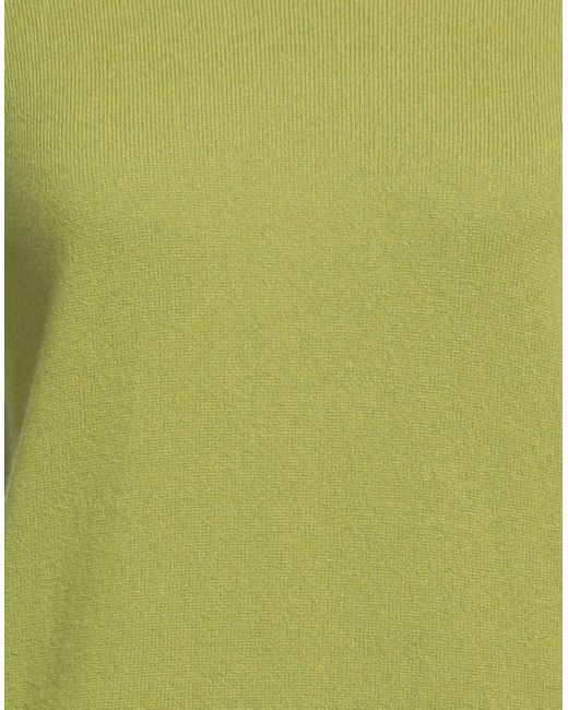 Cuello alto Kangra de color Green