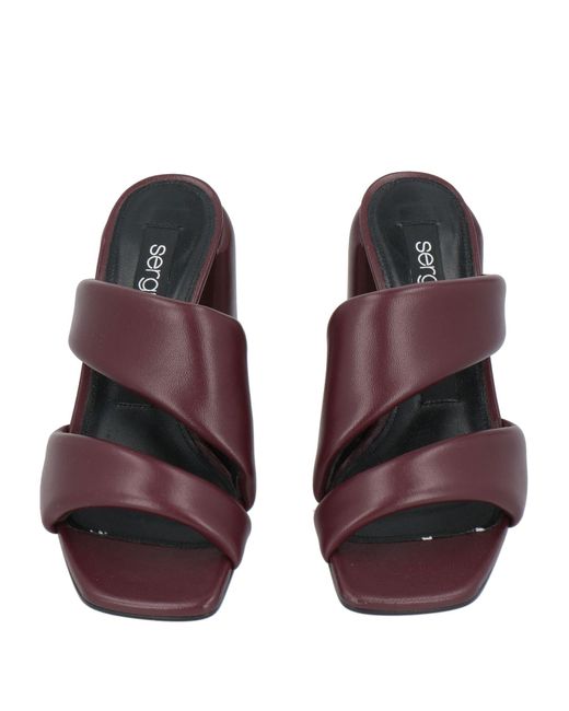 Sergio Rossi Purple Sandale