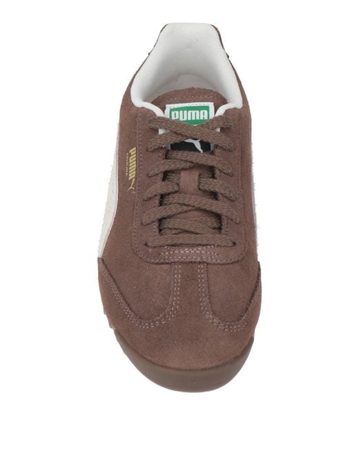 PUMA Brown Trainers