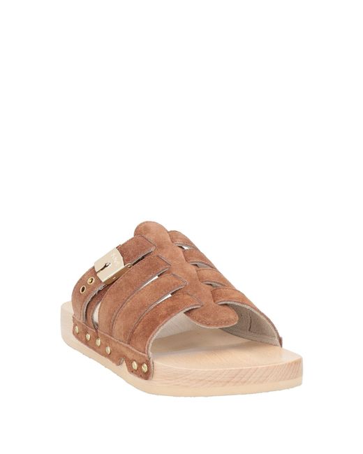 Scholl Brown Mules & Clogs Leather