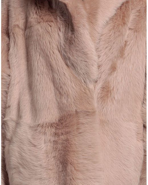 Blancha Brown Coat