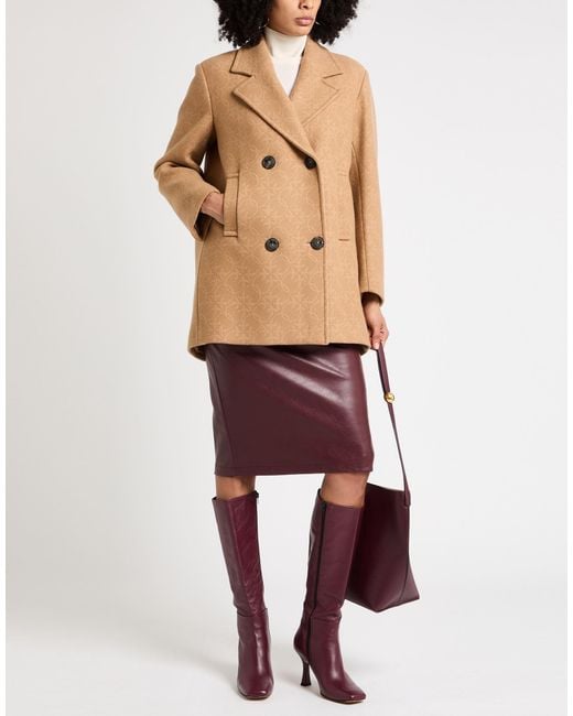 Pinko Brown Coats