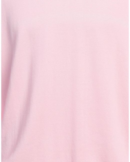 Kangra Pink Sweater Cotton for men