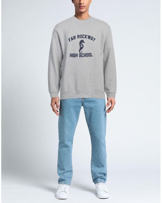WILD DONKEY Gray Sweatshirt for men