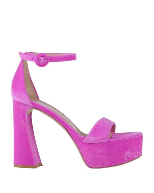 Gianvito Rossi Pink Sandals