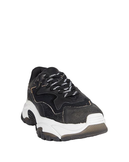 Ash Black Trainers