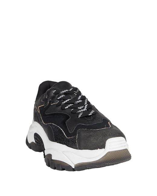 Ash Black Trainers