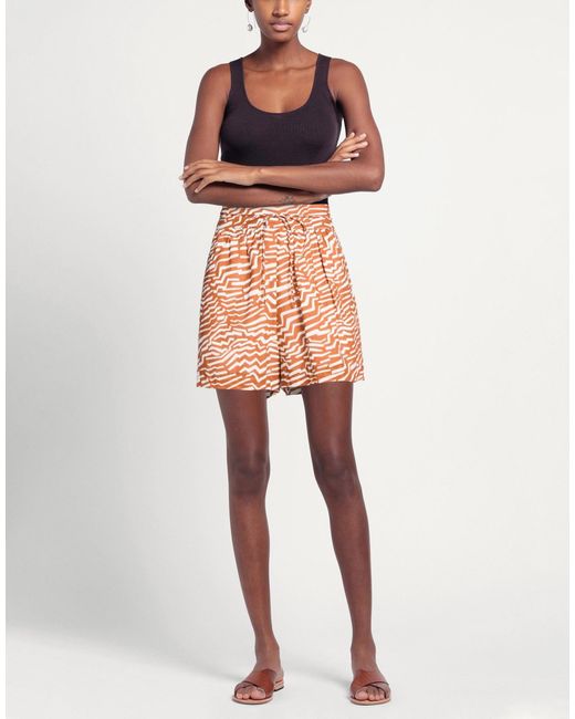 Bird & Knoll Orange Shorts & Bermuda Shorts