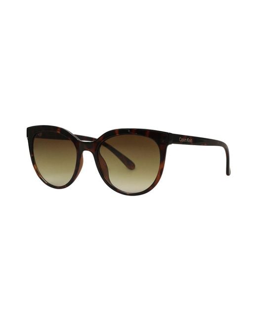 Calvin Klein Brown Sunglasses