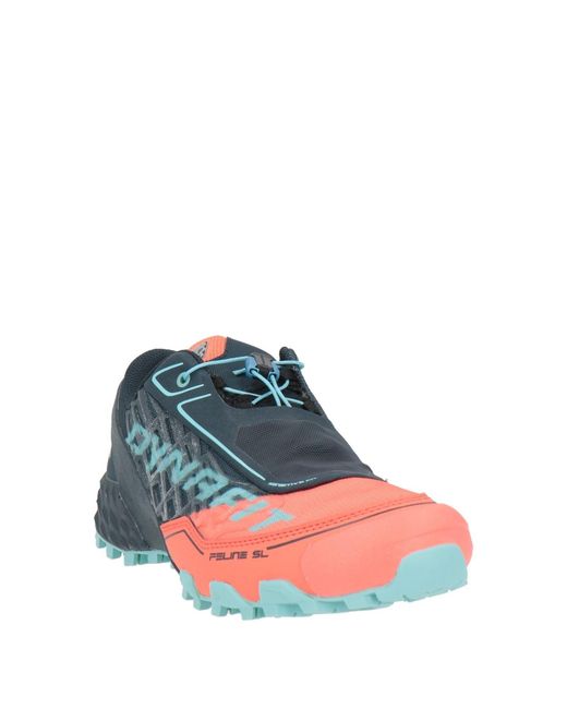 Sneakers Dynafit en coloris Blue