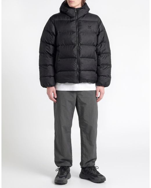 Adidas Blue Puffer for men