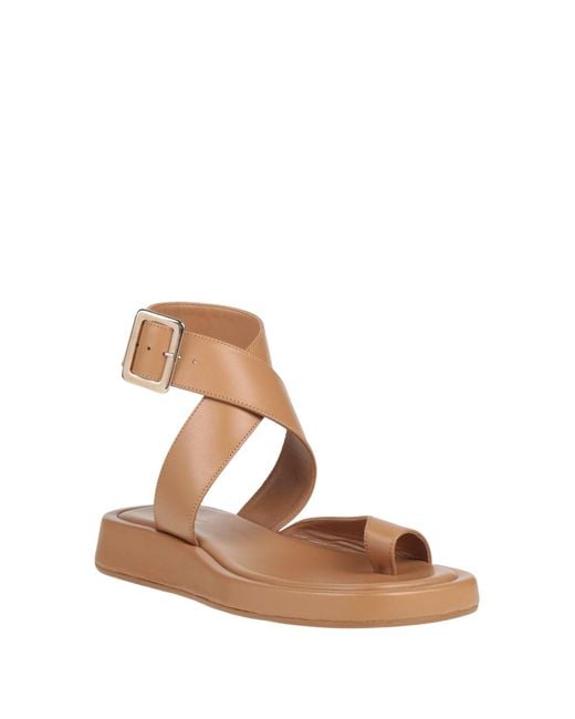 Gia Borghini Brown Thong Sandals