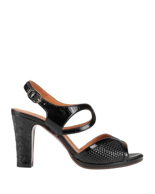 Chie Mihara Black Sandals
