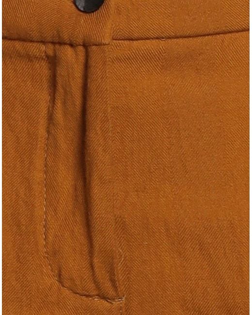 Masnada Brown Trouser